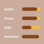 Pineapple Fermented Naturals - 100% Arabica - Baba Budangiri