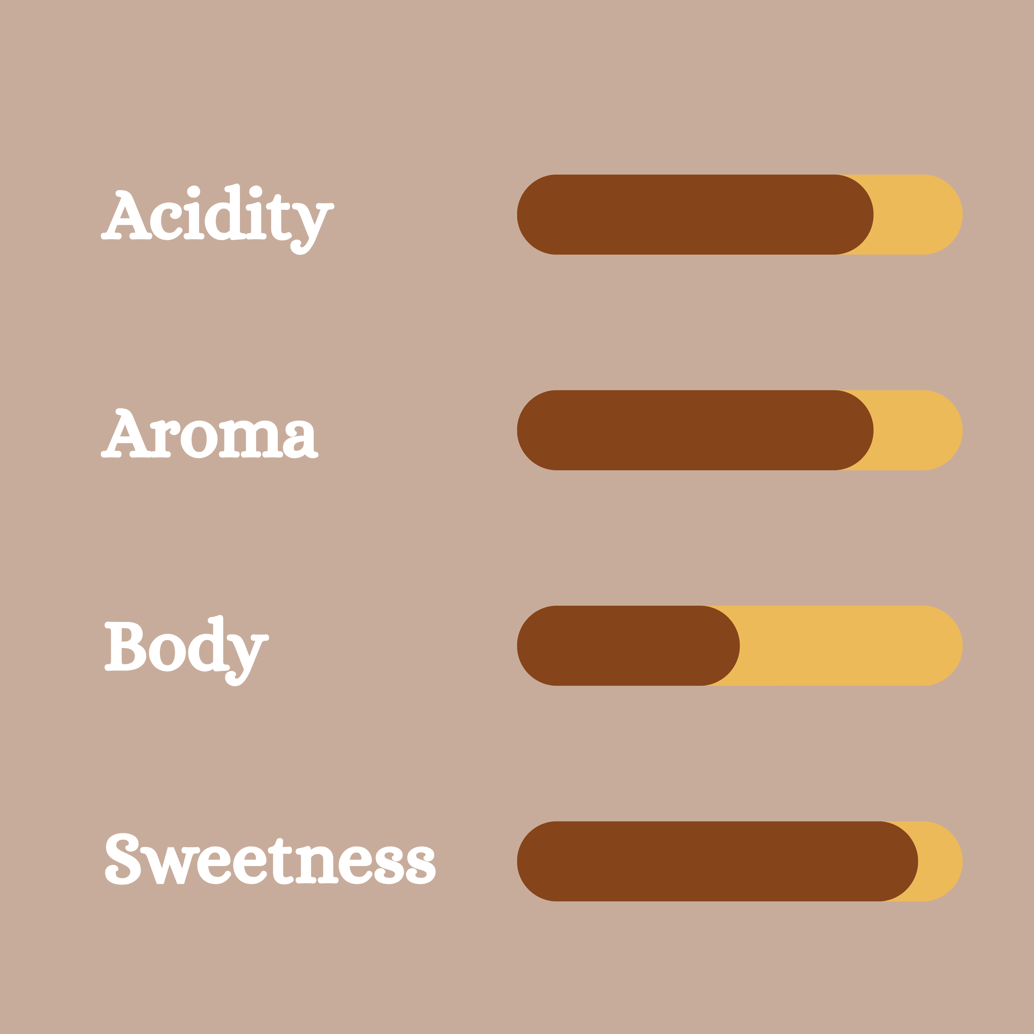 Pineapple Fermented Naturals - 100% Arabica - Baba Budangiri