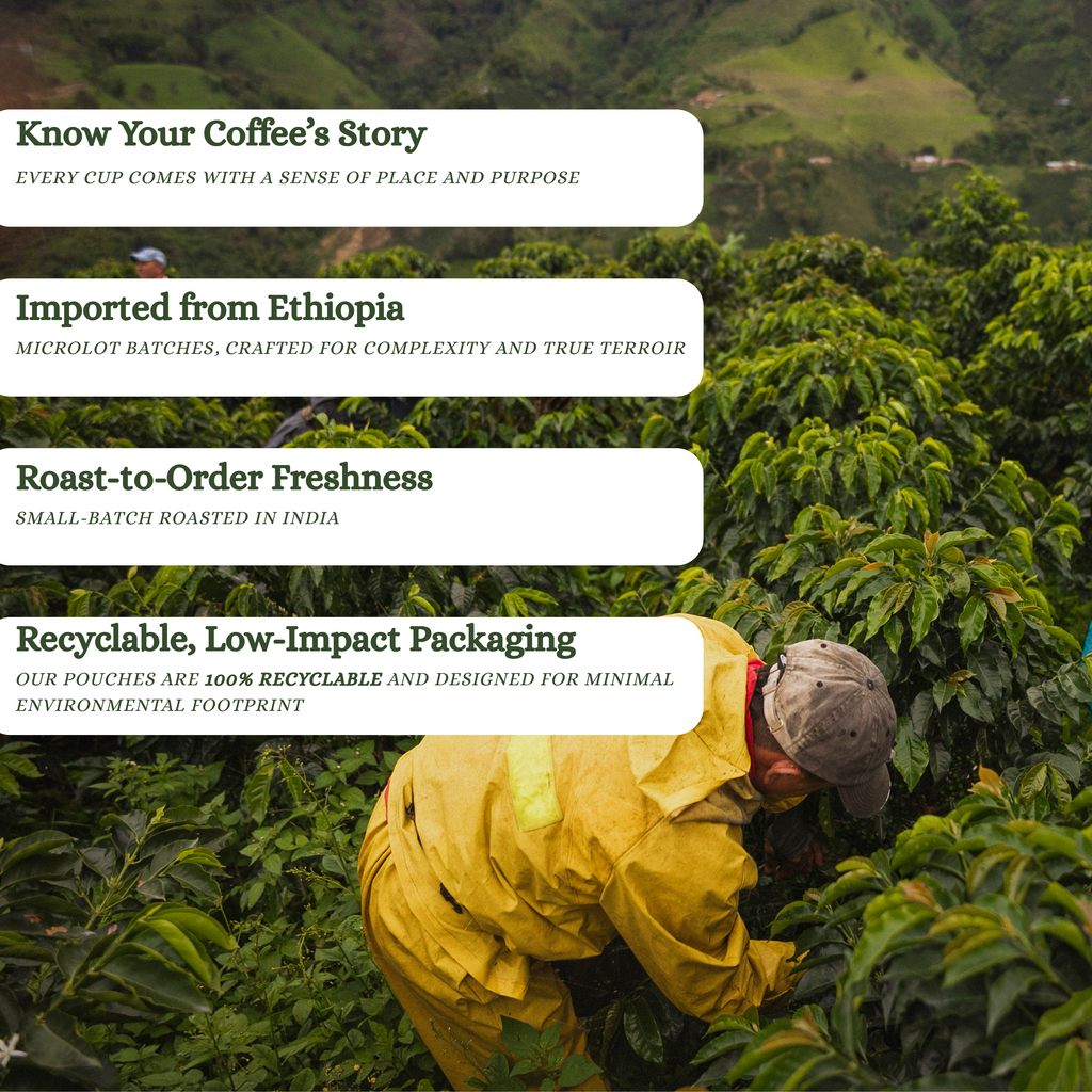 Person tending to coffee plants with text about coffee story, origin, freshness, and packaging.