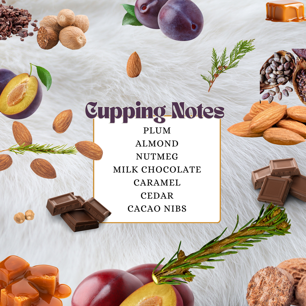 Vietnam | Lam Dong | Single Origin | 100% Robusta