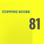 Pineapple Fermented Naturals - 100% Arabica - Baba Budangiri