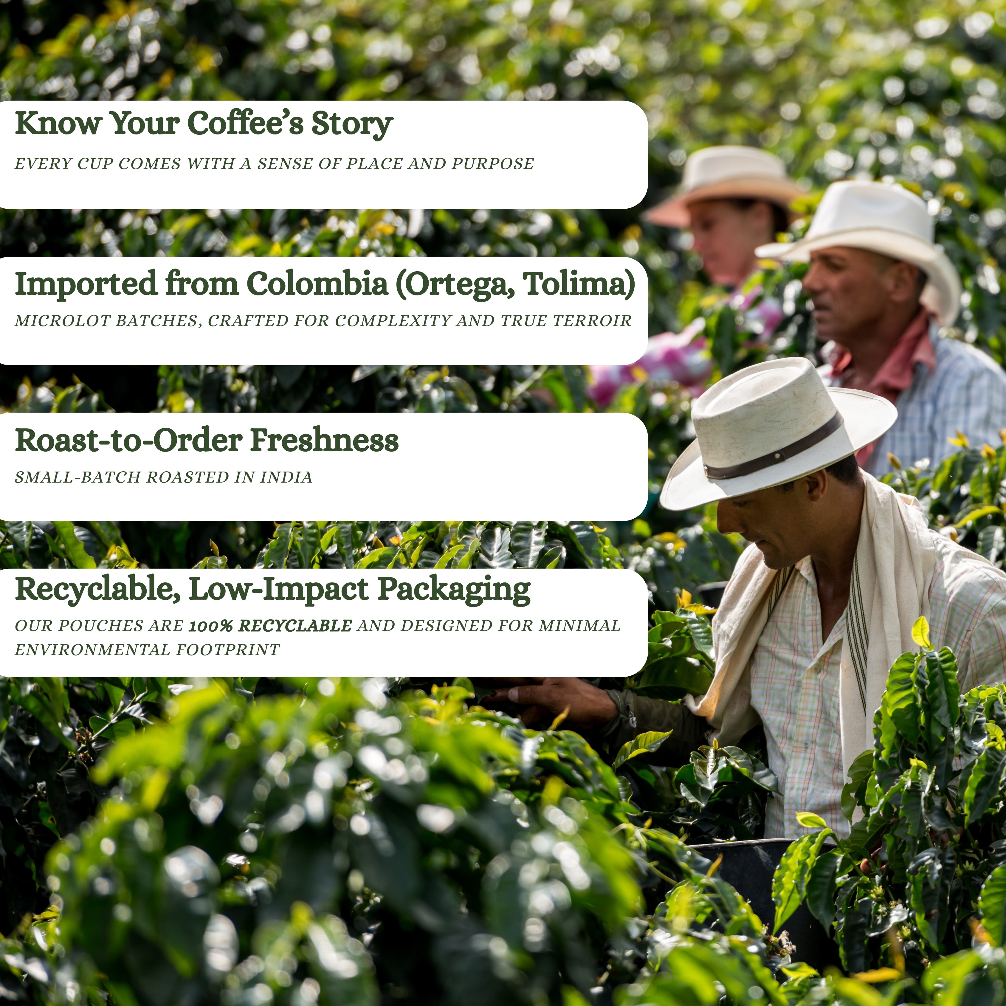 Colombia | Nestor Alpe | Single Origin | 100% Arabica