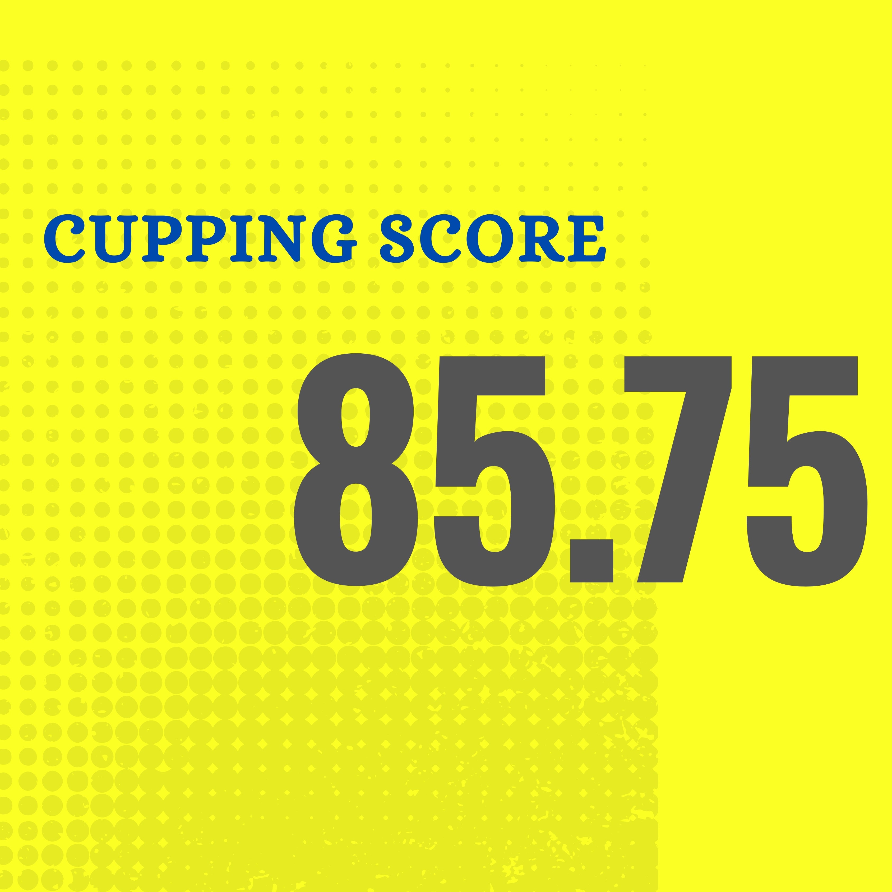 Colombia | Nestor Alpe | Single Origin | 100% Arabica