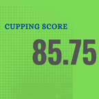 Ethiopia | Kercha | Single Origin | 100% Arabica