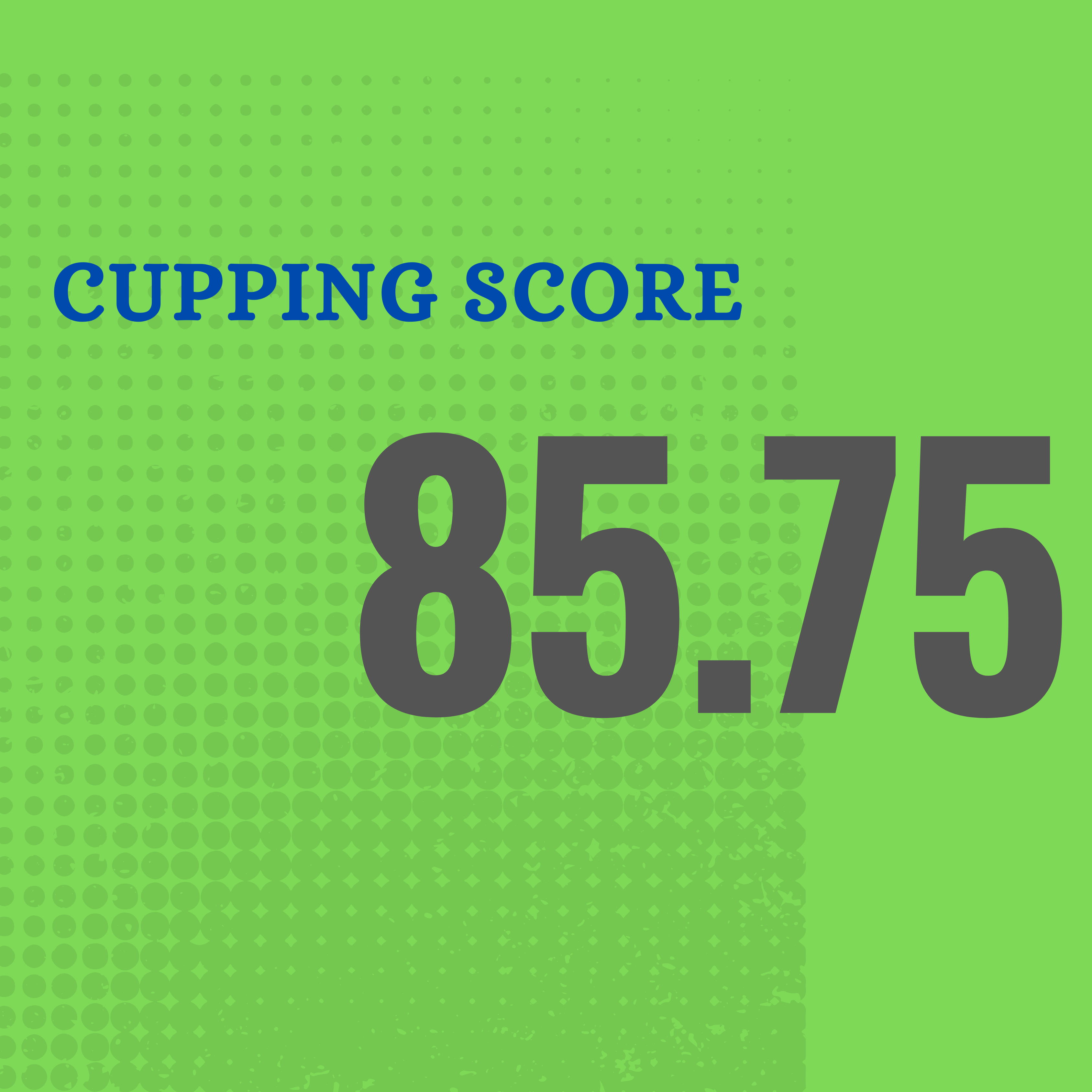 Ethiopia | Kercha | Single Origin | 100% Arabica