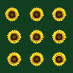 Sunflower Coffee Bloom – All Over Print Tote Bag