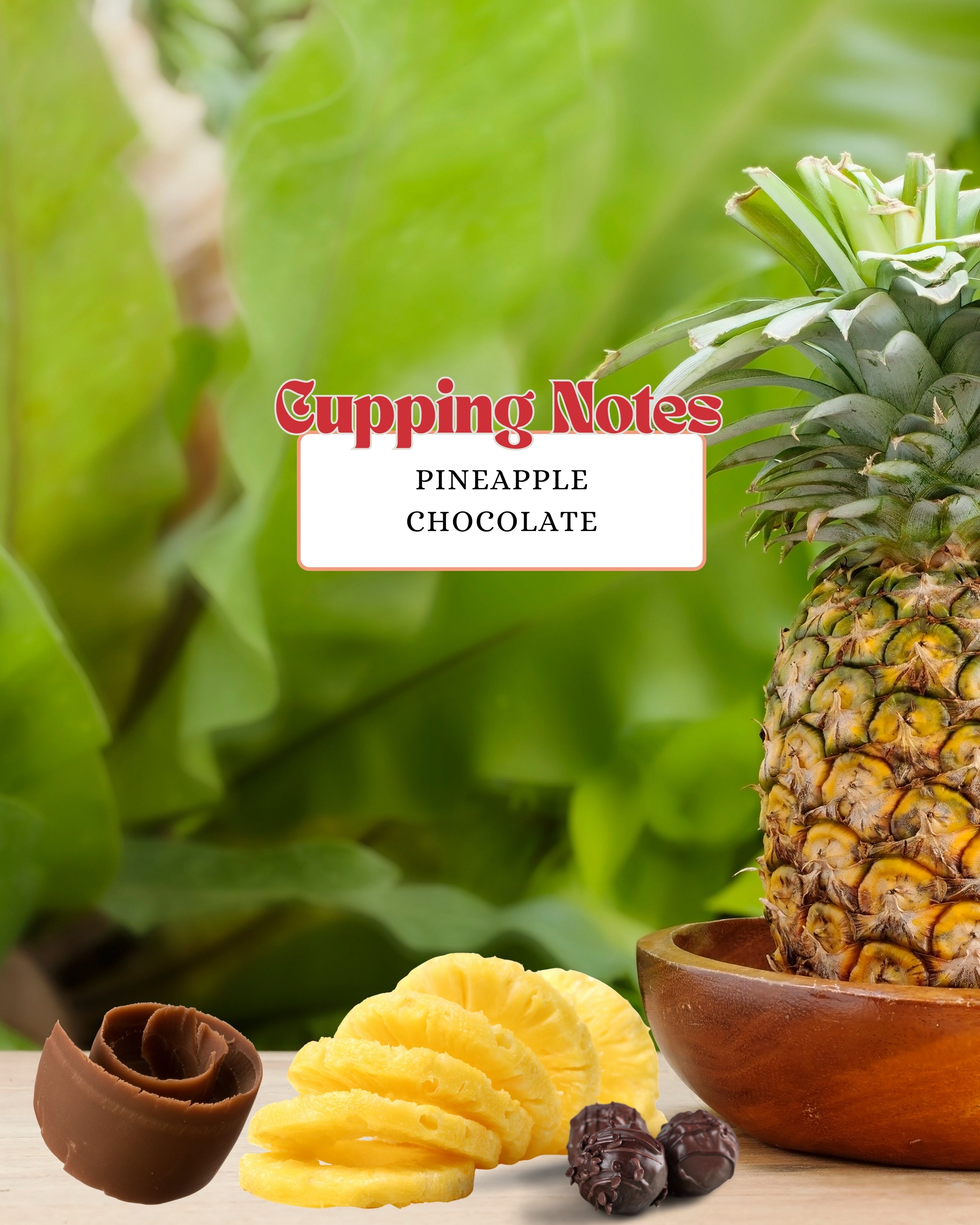 Pineapple Fermented Naturals - 100% Arabica - Baba Budangiri