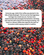 Pineapple Fermented Naturals - 100% Arabica - Baba Budangiri